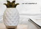 120ml Ceramic Pineapple 3D Glass Diffusors Ultrasonic Sprayer Mini Diffusers Essential Oil Humidifier AirVaporizers
