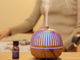 0.18L 19kg Home Aroma Diffuser LED Ultrasonic Essential Oil ABS Air Humidify