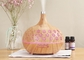 400ml Flower Pattern Home Aroma Diffuser Small Night Light Humidifier